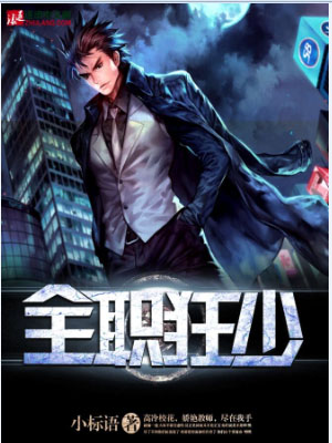 ȫְ����С˵