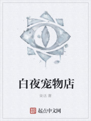 ��ҹ�����С˵