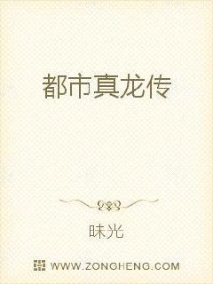 ����������С˵