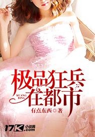 ��Ʒ����ڶ���С˵