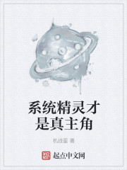 ϵͳ�������������С˵