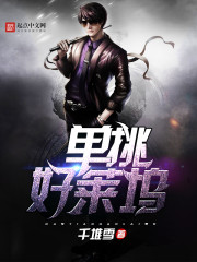 ����������С˵