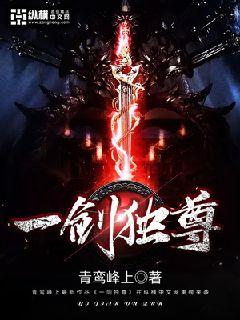 һ������С˵