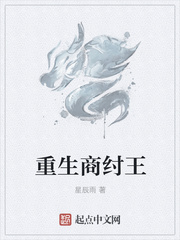 ����������С˵