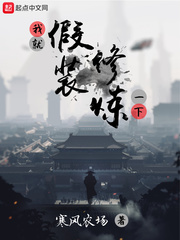 �Ҿͼ�װ����һ��С˵