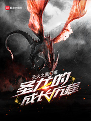 ʥ���ĳɳ�����С˵