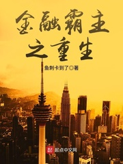 ���ڰ���֮����С˵