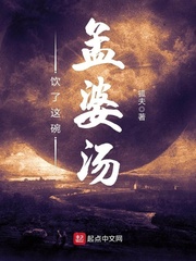 ��������������С˵