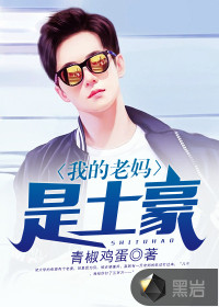 �ҵ�����������С˵