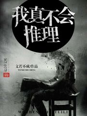 ���治������С˵