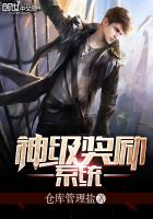 �񼶽���ϵͳС˵