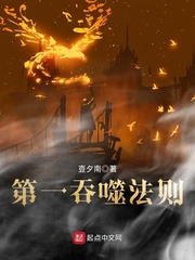 ��һ���ɷ���С˵