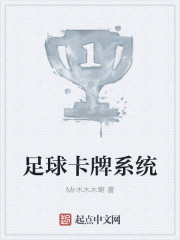 ������ϵͳС˵