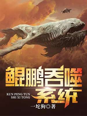 ��������ϵͳС˵