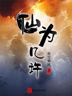 ��ŵ�һ��С˵