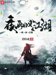 ҹ��̾����С˵