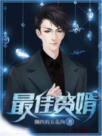 ���׸��С˵