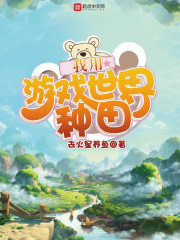 ������Ϸ��������С˵