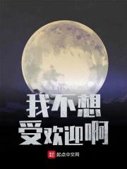 �Ҳ����ܻ�ӭ��С˵