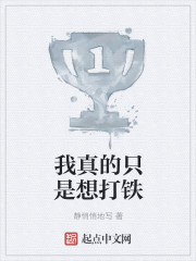 �����ֻ�������С˵