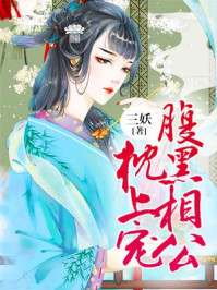 �����๫���ϳ�С˵