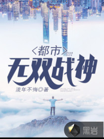 ������˫ս��С˵