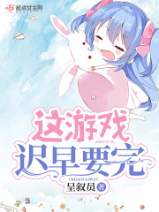 ����Ϸ����Ҫ��С˵