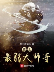 ʷ��������ʦ��С˵