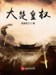 �����ȨС˵