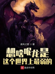 ��ɶ���������������������С˵