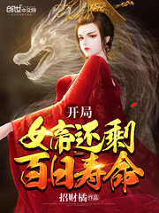 ����Ů�ۻ�ʣ��������С˵