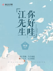 ����ۣ�������С˵