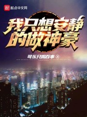 ��ֻ�밲���������С˵