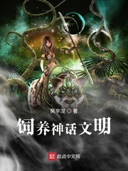 ����������С˵