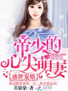 ʢ����飺���ٵ��ļ�����С˵