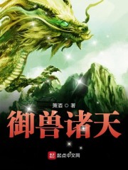 ��������С˵