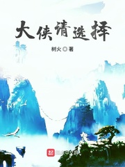 ������ѡ��С˵