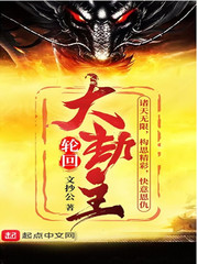 ���������С˵