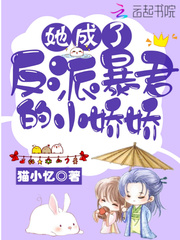 �����˷��ɱ�����С����С˵