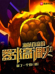 �����׸������Ÿߵ�ʷС˵