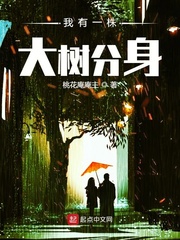 ����һ���������С˵