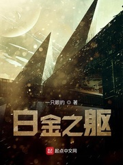 �׽�֮��С˵