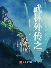 �����⴫֮������С��С˵