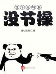 ���������û�ڲ�С˵