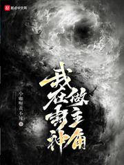 ���ڷ���������С˵