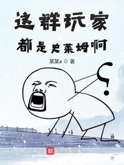 ��Ⱥ��Ҷ���ʷ��ķ��С˵