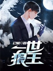 һ������С˵