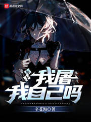 �������������Լ���С˵