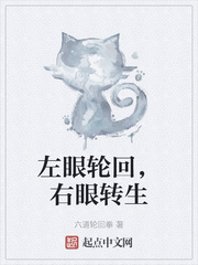 �����ֻأ�����ת��С˵