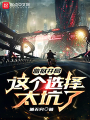 �����������ѡ��̫����С˵